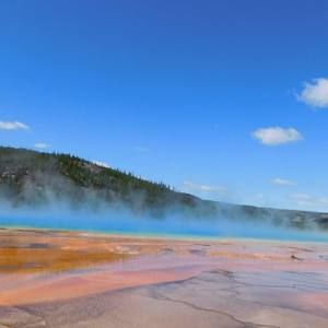 Meet your Posher, Bridgette